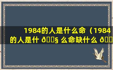 1984的人是什么命（1984的人是什 🐧 么命缺什么 🐧 五行属性）